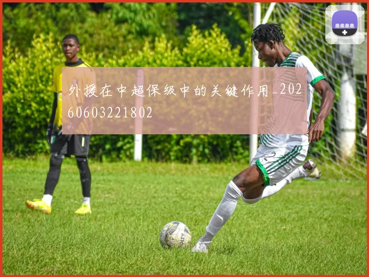 外援在中超保级中的关键作用_20260603221802