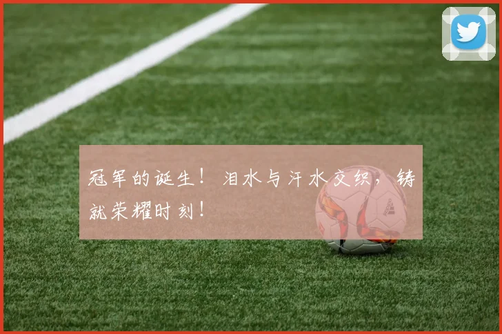 冠军的诞生！泪水与汗水交织，铸就荣耀时刻！