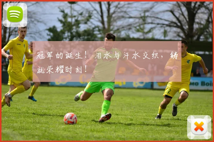 冠军的诞生！泪水与汗水交织，铸就荣耀时刻！